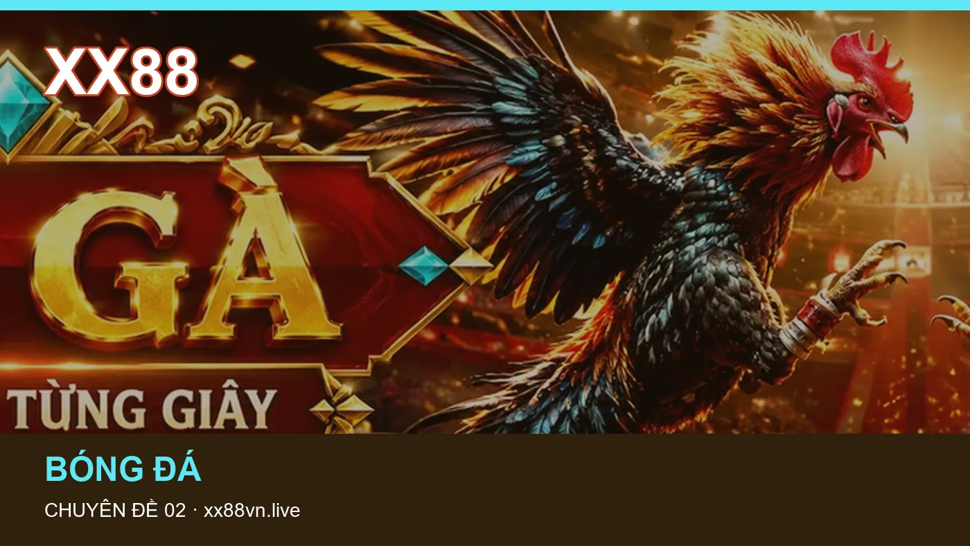 Trải nghiệm Lịch thi đấu trên điện thoại cùng cẩm nang XX88 | xx88vn.live