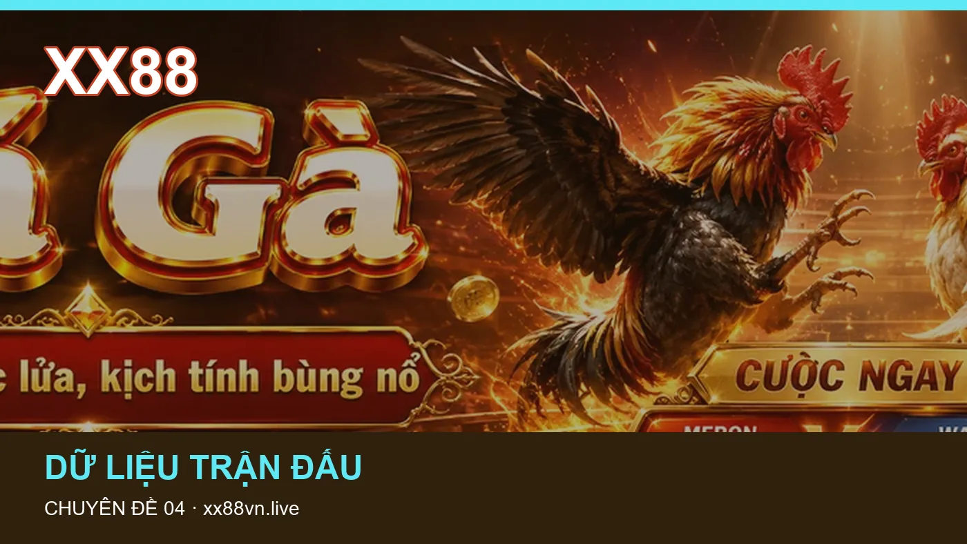 Hỏi đáp: những thuật ngữ cần hiểu khi tra cứu XX88 | xx88vn.live